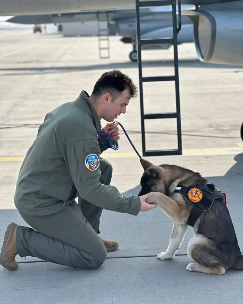 Pilotul de supersonice care a murit salvând un câine făcea parte din elita mondială a aviației. Și-a povestit viața în fața camerelor de filmat – Video