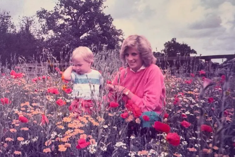 Prințul William nu mai ascunde tensiunile cu Prințul Harry. Imaginea cu Diana l-a dat de gol 2 Prințul William nu mai ascunde tensiunile cu Prințul Harry. Imaginea cu Diana l-a dat de gol