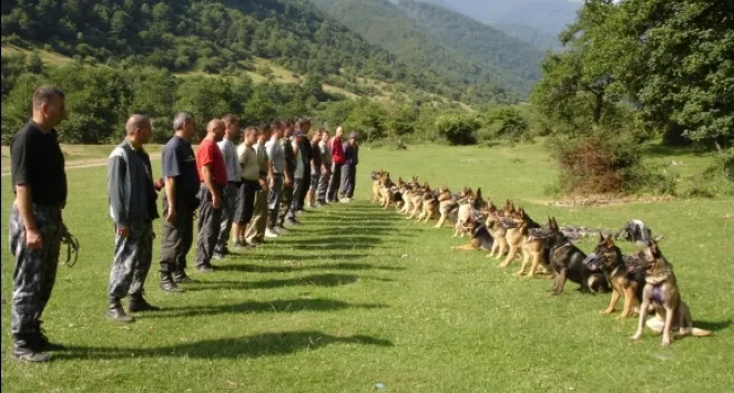 Scandal la Centrul Chinologic Sibiu, unde se pregătesc câinii pentru intervenție. Se cere închiderea lui 