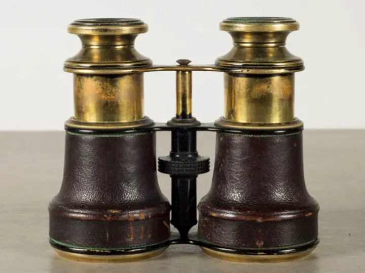 Bancuri. Doi ciobani: Măi, Gheorghe, mare lucru îi benoclu ăsta! Leșini de râs ce urmează