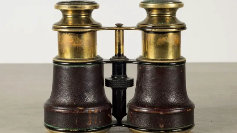 Bancuri. Doi ciobani: Măi, Gheorghe, mare lucru îi benoclu ăsta! Leșini de râs ce urmează