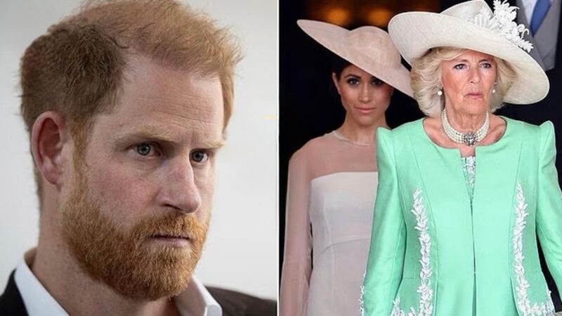 Regina Camilla o acuză pe nora Meghan Markle: „L-a spălat pe creier”. Dezvăluiri explozive