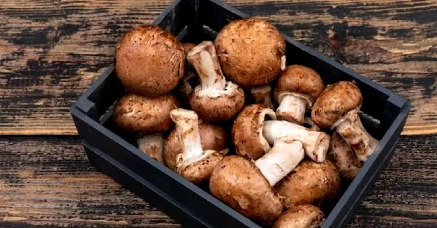 Chiftele vegetariene din cartofi umplute cu ciuperci, delicatesa ucrainenilor în Postul Paștelui. Cât de simplu se prepară rețeta 4 Chiftele vegetariene de cartofi umplute cu ciuperci, delicatesa ucrainienilor în Postul Paștelui. Cât de simplu se prepară rețeta