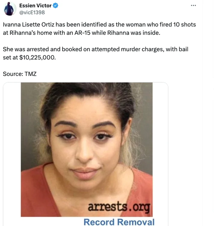 Rihanna, decizie radicală după tentativa de asasinat. Atacatoarea susținea că artista „i-a furat gândurile” - Video