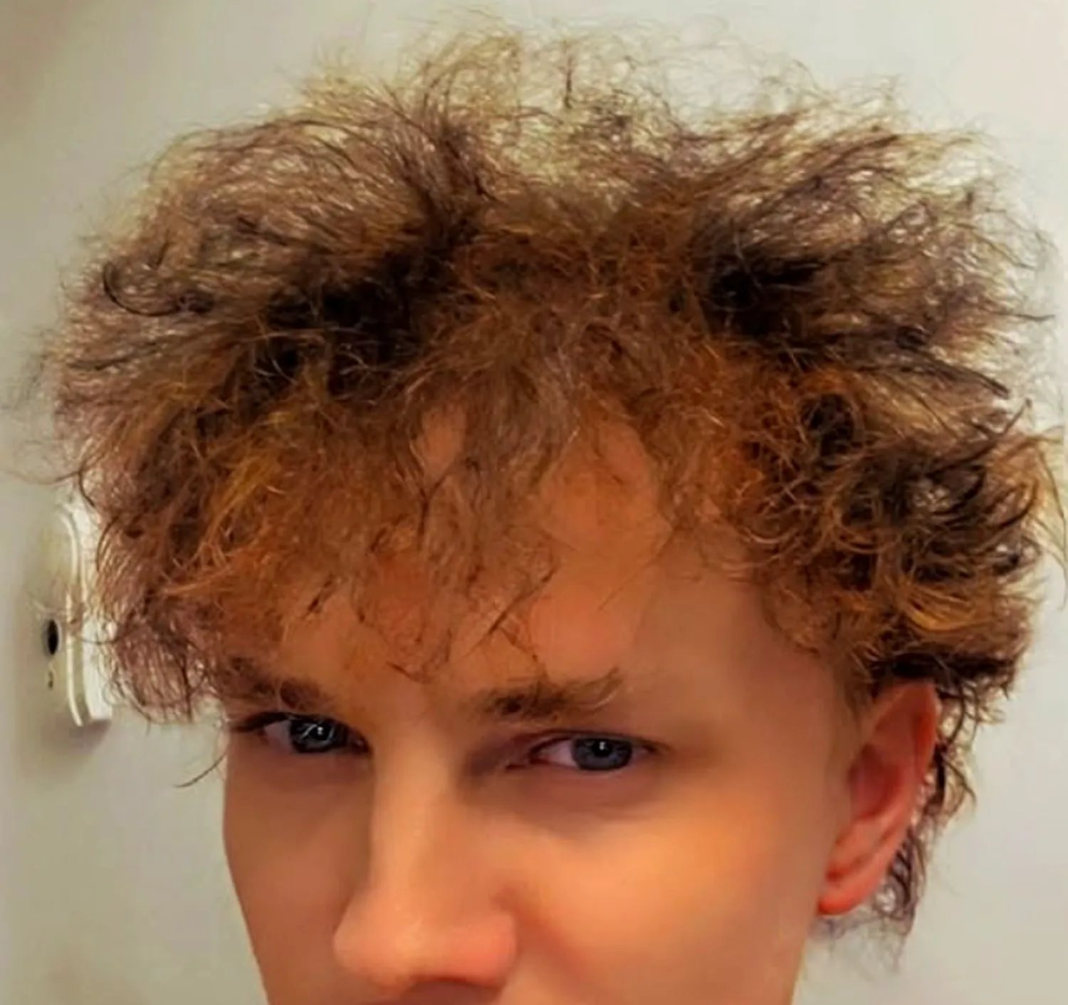 Mihai Trăistariu, transformat într-o „găinușă”. I-au pus și puișori în cap. Imaginile spun totul