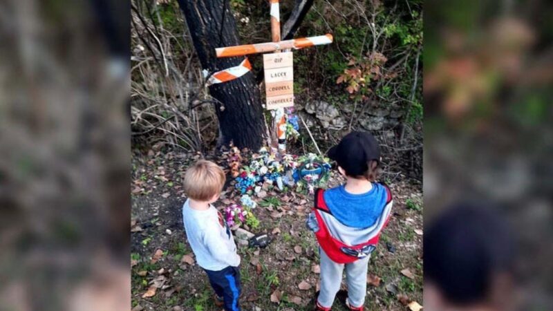 Bunica a inițiat o lege dură împotriva șoferilor beți, ce ar fi bună și în România: vor plăti pensie copiilor lăsați orfani