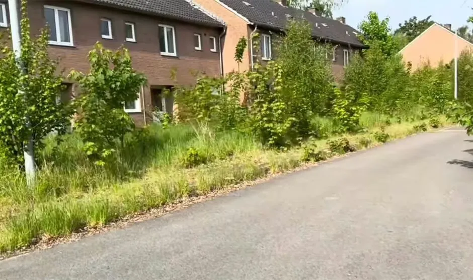 town 2 6804994 ezgif.com avif to jpg converter