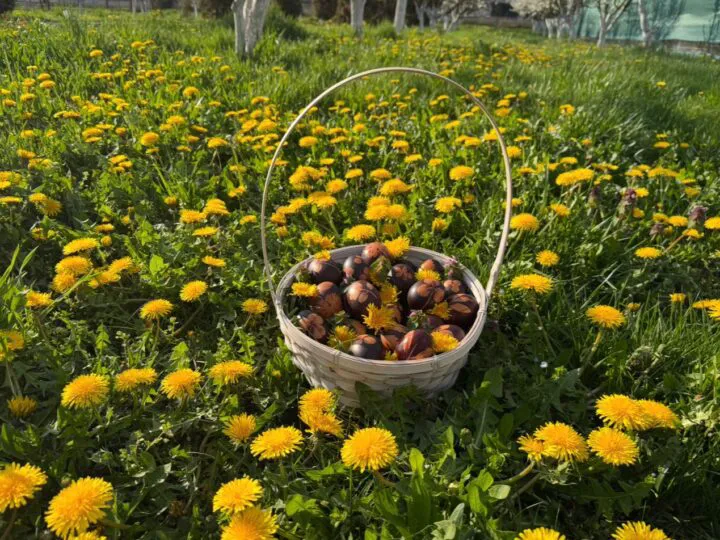 În aceste zile de sărbătoare, Dumnezeu și fiul său Iisus Hristos să coboare asupra noastră Liniștea și Pacea! Paște fericit!