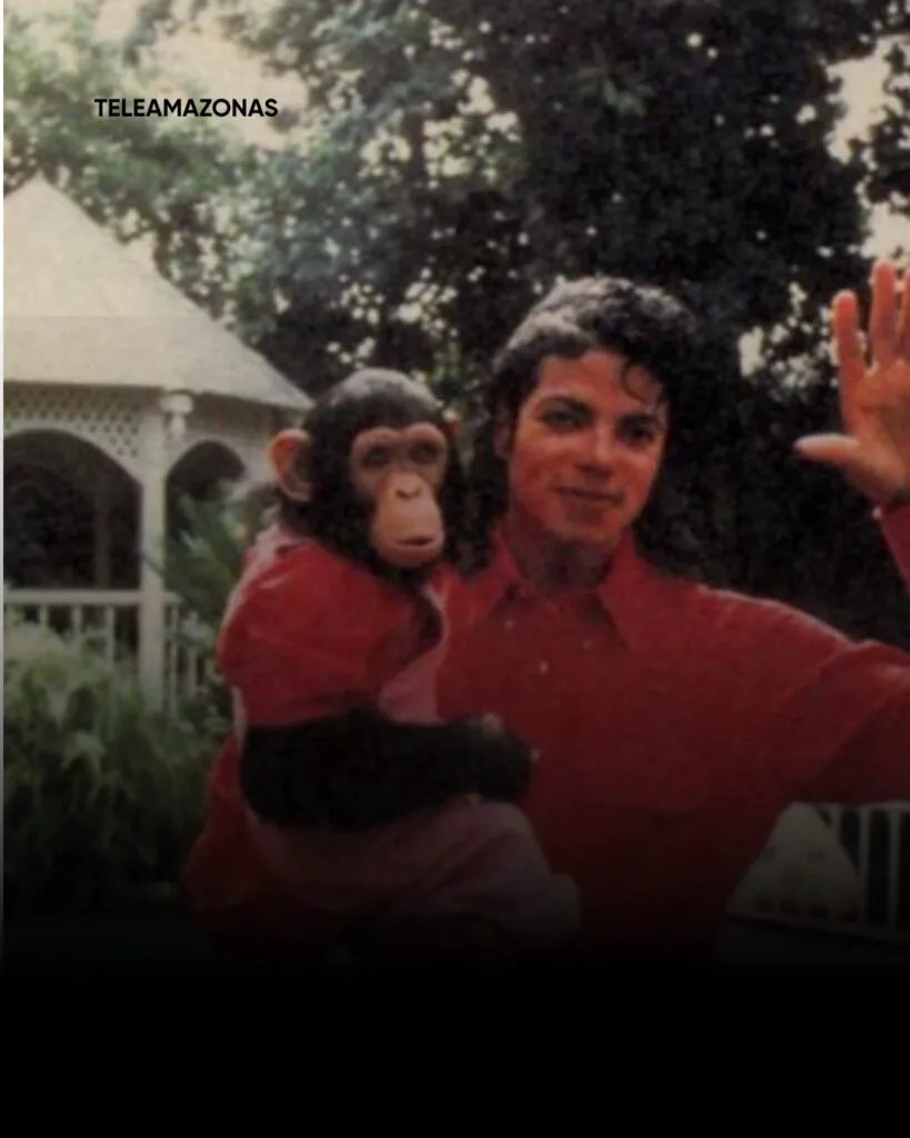 Ce face acum Bubbles, celebrul cimpanzeu al lui Michael Jackson. Detalii surprinzătoare despre viața lui