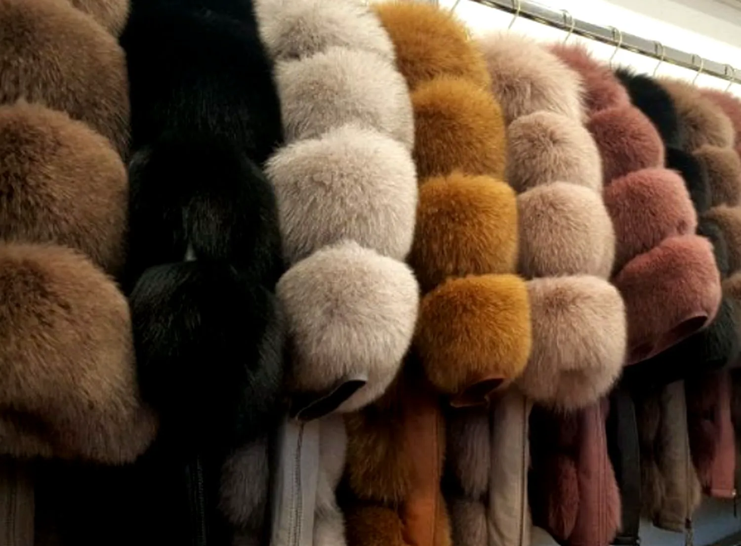 Bancuri. Tată, se zice că mariajul este ca o loterie. Este adevărat? Răspunsul e genial!