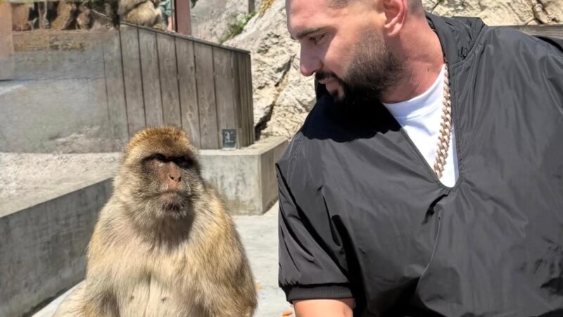 Unde face Dorian Popa muncă în folosul comunității: „Bă, când ești prost, ești prost”