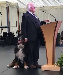Michael D. Higgins la o întâlnire oficială, alături de câinele său