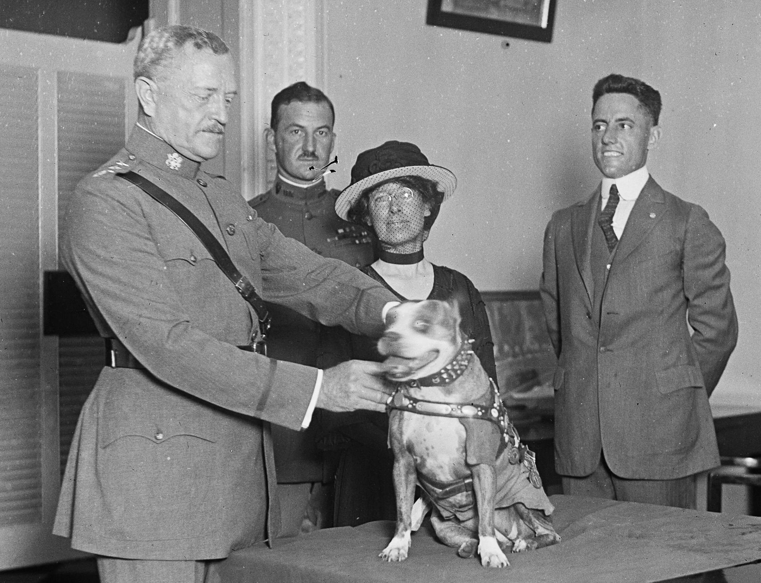 Generalul John J. Pershing îi acordă o medalie lui Sergeant Stubby din partea Humane Education Society, în cadrul unei ceremonii organizate la Casa Albă în 1921, recunoscând curajul și serviciul său în război. (foto: Wikipedia)
