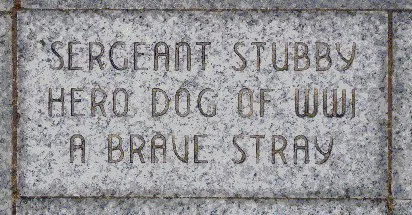 Cărămida memorială dedicată lui Sergeant Stubby la Liberty Memorial, pe care este inscripționat mesajul „Câine erou al Primului Război Mondial, un maidanez curajos” (foto: Wikipedia)