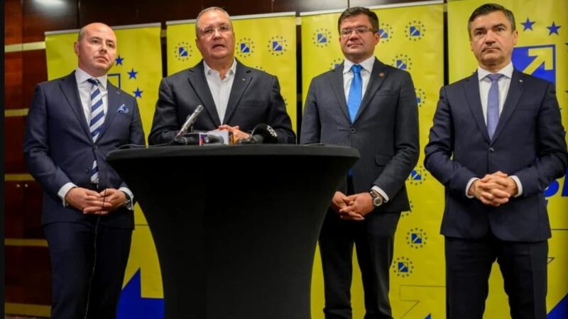 Bălăcăreala vedetelor politice liberale din Iași: de la „pisică în călduri” la „labă tristă”. Sunt și dosare penale