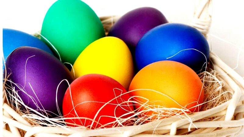 Bancuri. O găină către alta văzând ouăle de Paște. Așa mici și… Leșini de râs