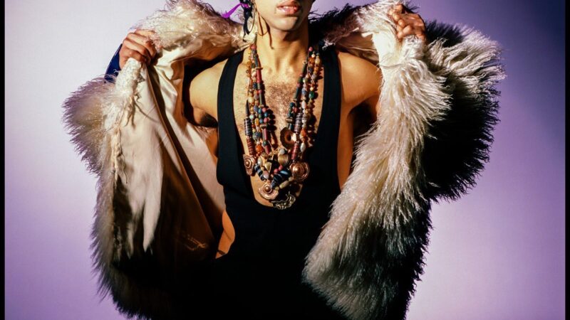 Ce s-a întâmplat înainte de moartea lui Prince. Un fost coleg de trupă face dezvăluiri tulburătoare