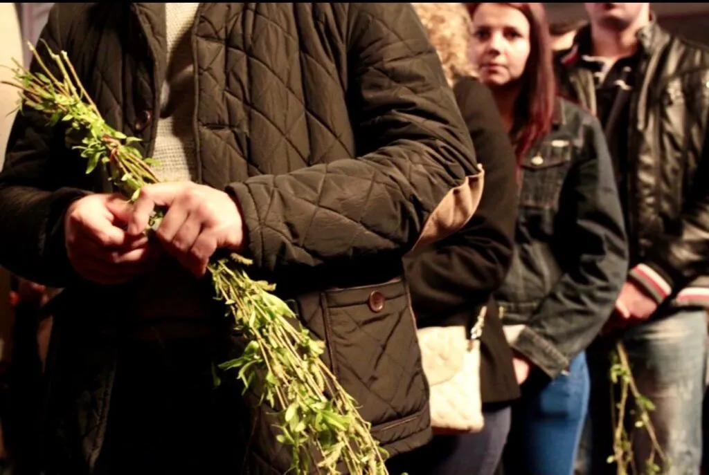 Pelerinajul de Florii 2026: traseu complet, program și semnificații. Patriarhul Daniel va întâmpina credincioșii