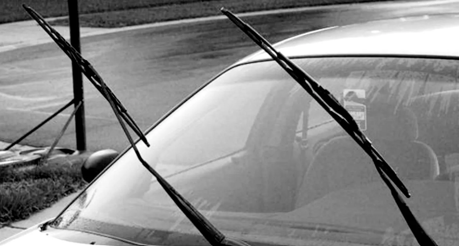 Bancuri. După nuntă: Iubitule, îți dai seama că vom sta împreună toată viața? Leșini de râs ce urmează