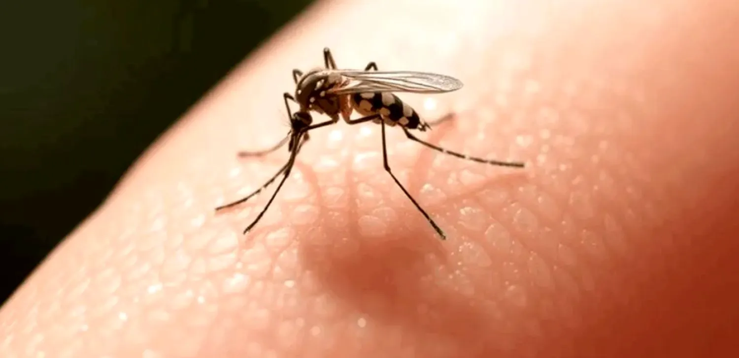 Bancuri. Soldat, dacă ajungem într-o localitate unde fântânile sunt infectate, ce facem? Râzi cu lacrimi ce răspuns primește