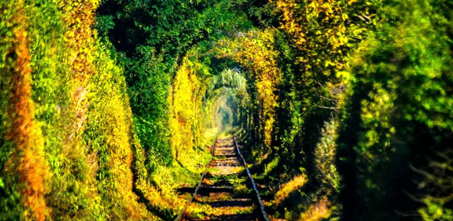 Tunelul iubirii din Glimboca, locul unde natura a scris o poveste fără cuvinte. O destinație a îndrăgostiților