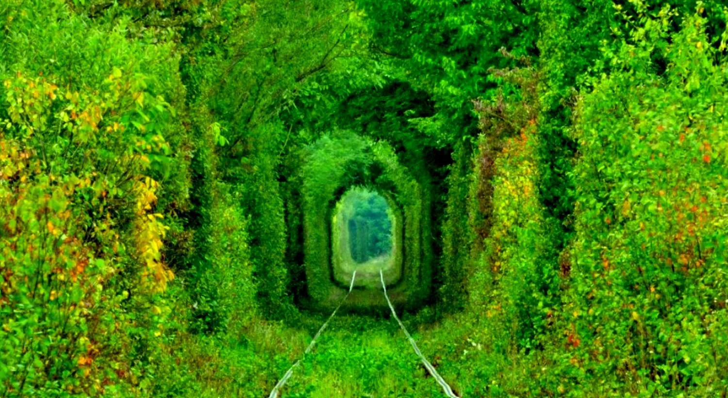 Tunelul iubirii din Glimboca, locul unde natura a scris o poveste fără cuvinte. O destinație a îndrăgostiților