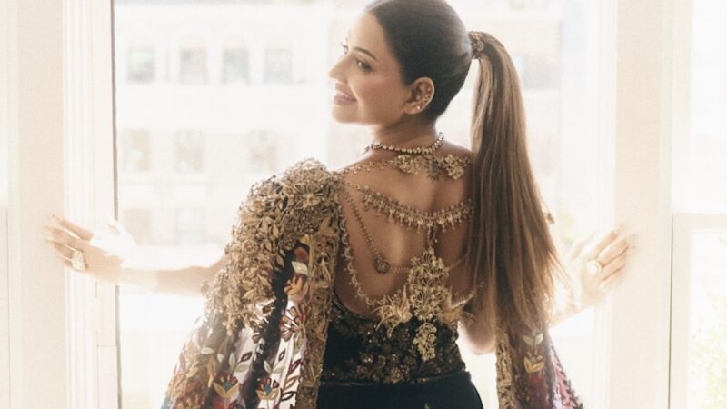 Povestea colierului de 15 milioane de dolari. O indiancă le-a dat clasă vedetelor la Met Gala 2026