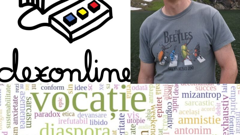 Dexonline. Cum a devenit o platformă pentru educarea românilor un instrument de mesaje politice