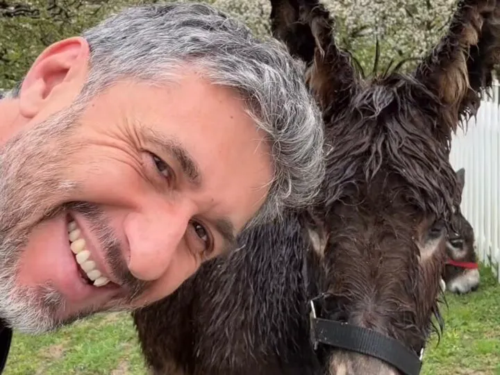 Dragoș Bucur a fugit de la ferma lui cu animale tocmai la Londra. Întâlnire cu actori de top
