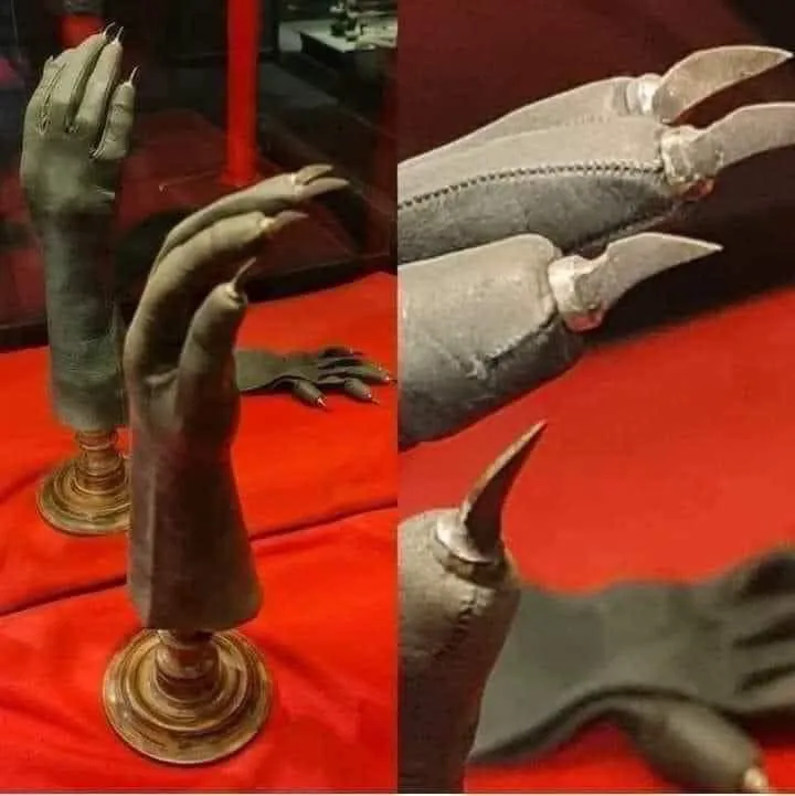 Mănuși cu aspect de „gheare”, expuse la Museo delle Curiosità, un muzeu dedicat obiectelor neobișnuite și curiozităților (foto: Tripadvisor)