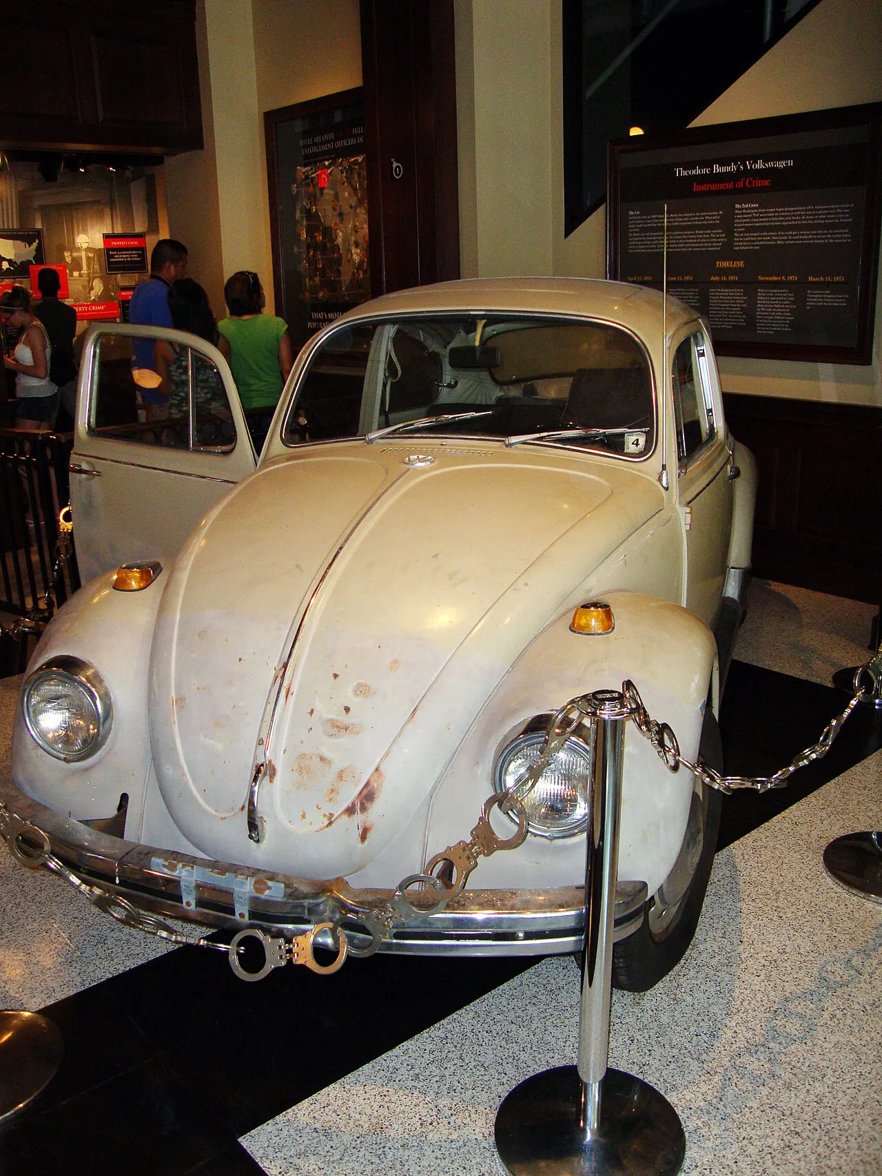 Câinele lui Ted Bundy a avut un rol deciziv în dovedirea crimelor sale. Familia criminalului povestește întâmplarea stranie 5 Volkswagen Beetle din 1968, automobilul în care Ted Bundy a comis multe dintre crimele sale. Vehiculul este expus astăzi la Alcatraz East Crime Museum. (foto: Wikipedia)