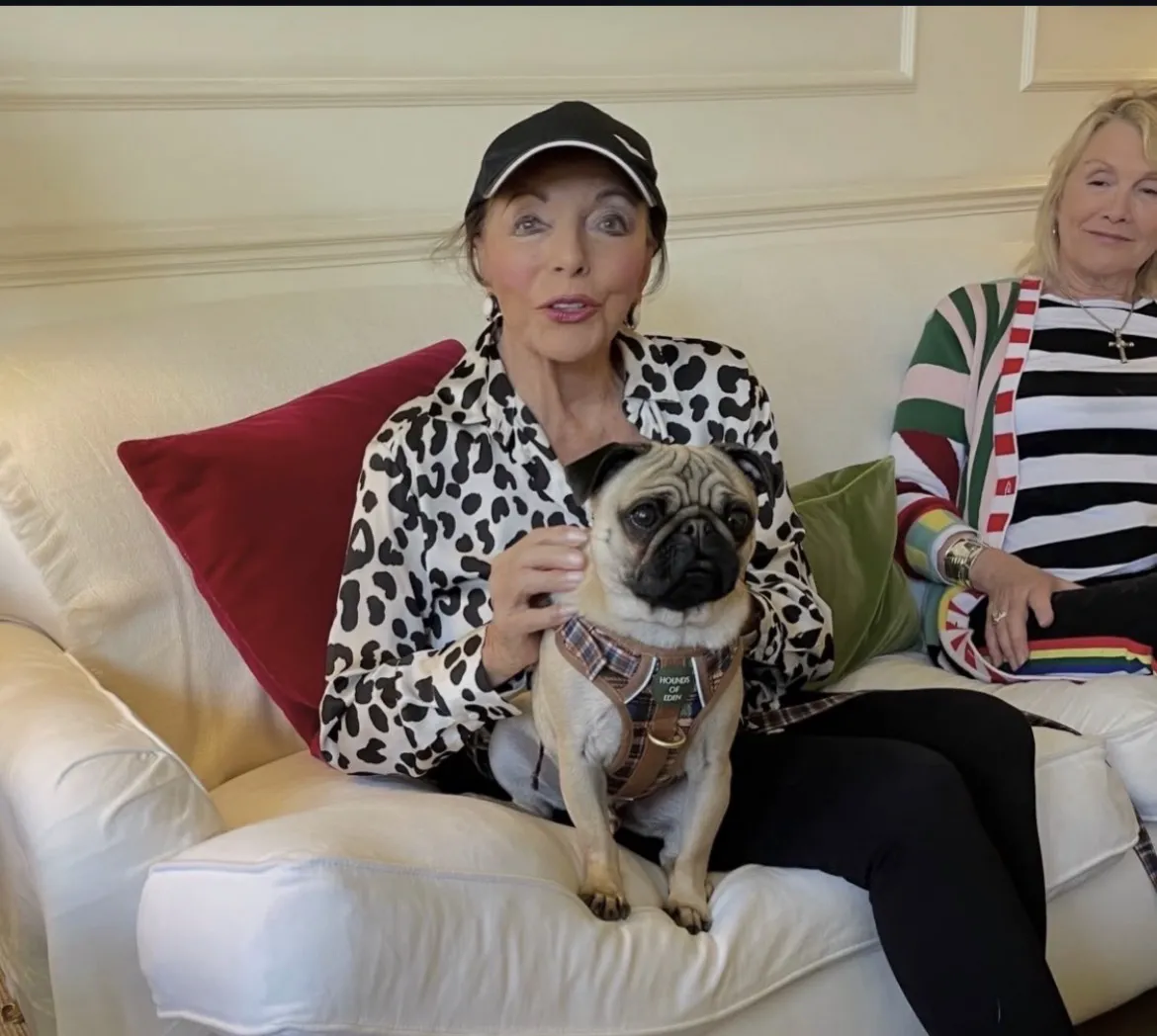 Joan Collins uimește din nou. La 93 de ani, are o rutină care o ține în formă și flexibilă 2 Joan Collins uimește din nou. La 93 de ani, are o rutină care o ține în formă și flexibilă