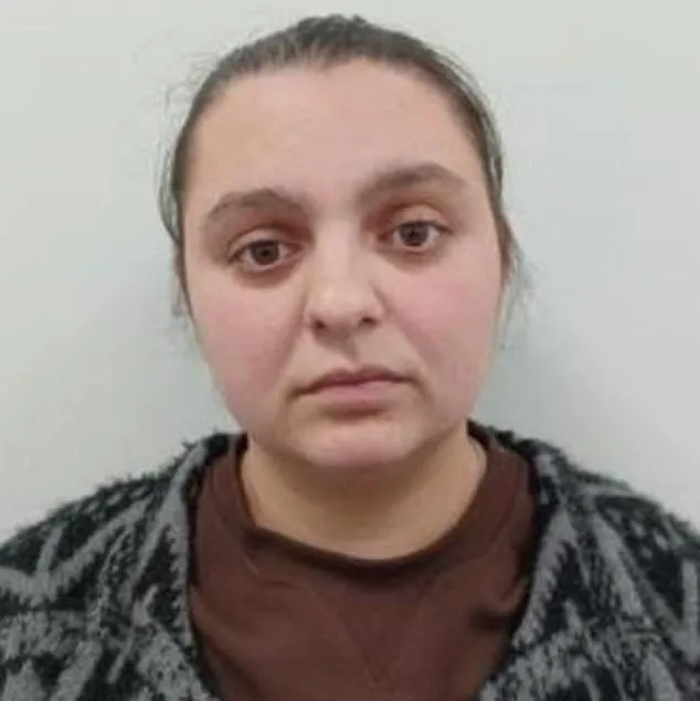 Româncă analfabetă, prinsă la furat în Anglia și băgată la închisoare. A provocat pagube de peste 100.000 de lire sterline