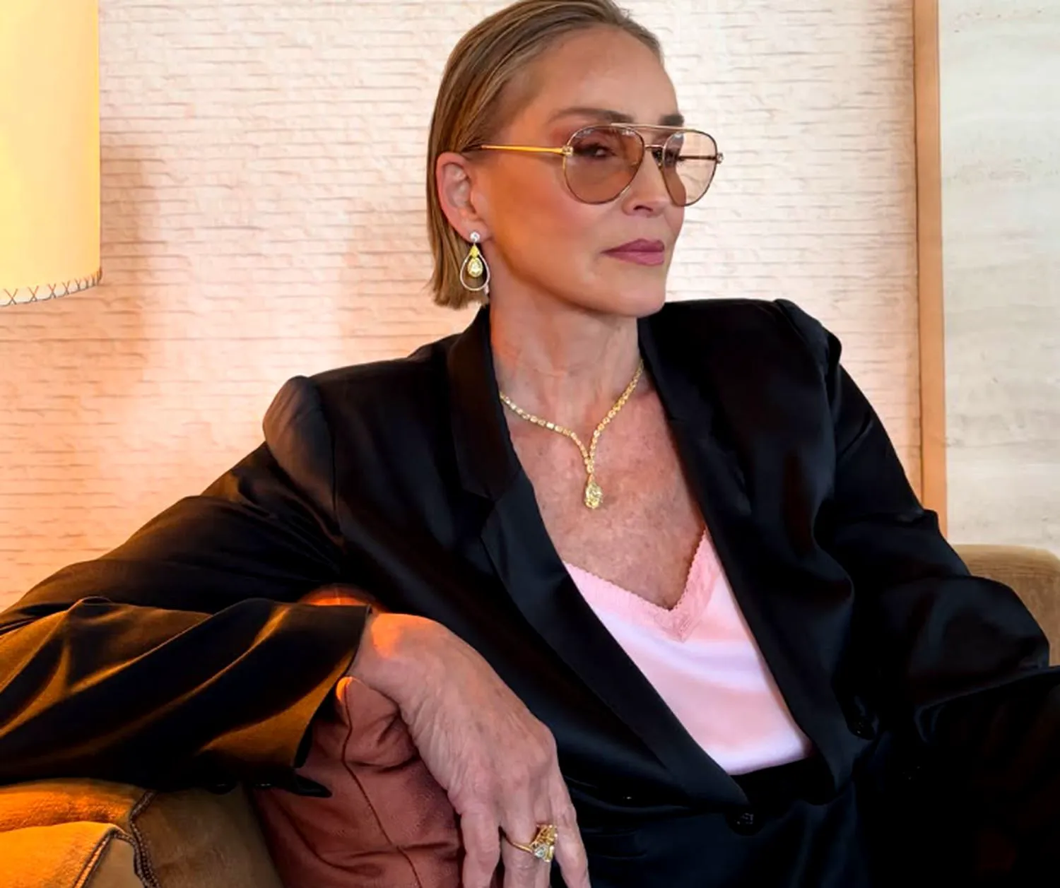 Cum a „văzut” Stevie Wonder că Sharon Stone este o zeiță a frumuseții. Momentul e foarte emoționant 2 Cum a „văzut” Stevie Wonder că Sharon Stone este o zeiță a frumuseții. Povestea e uluitoare