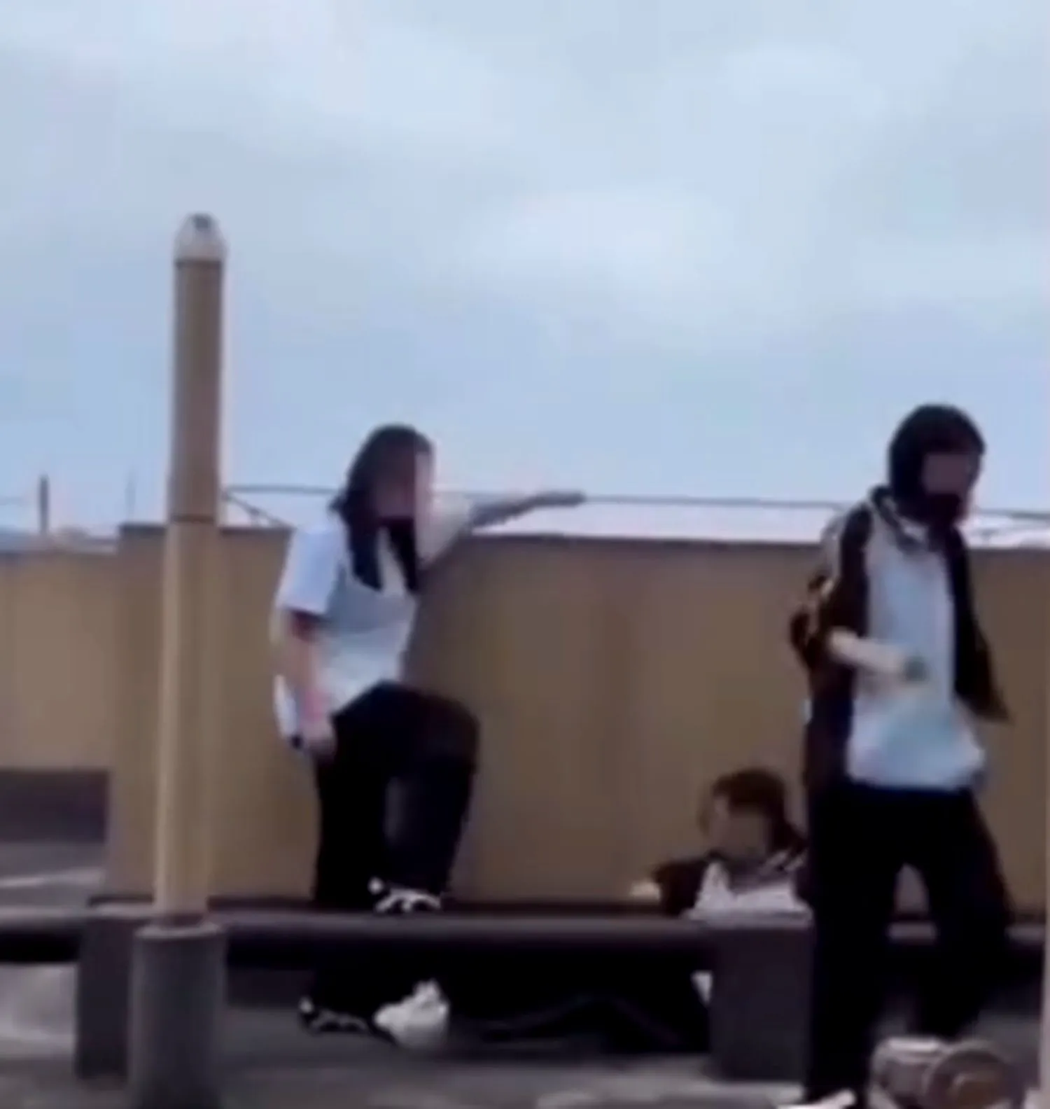 Două fete încercau să arunce o altă fată de pe acoperișul școlii și să însceneze un accident. O profesoară a salvat victima. Video