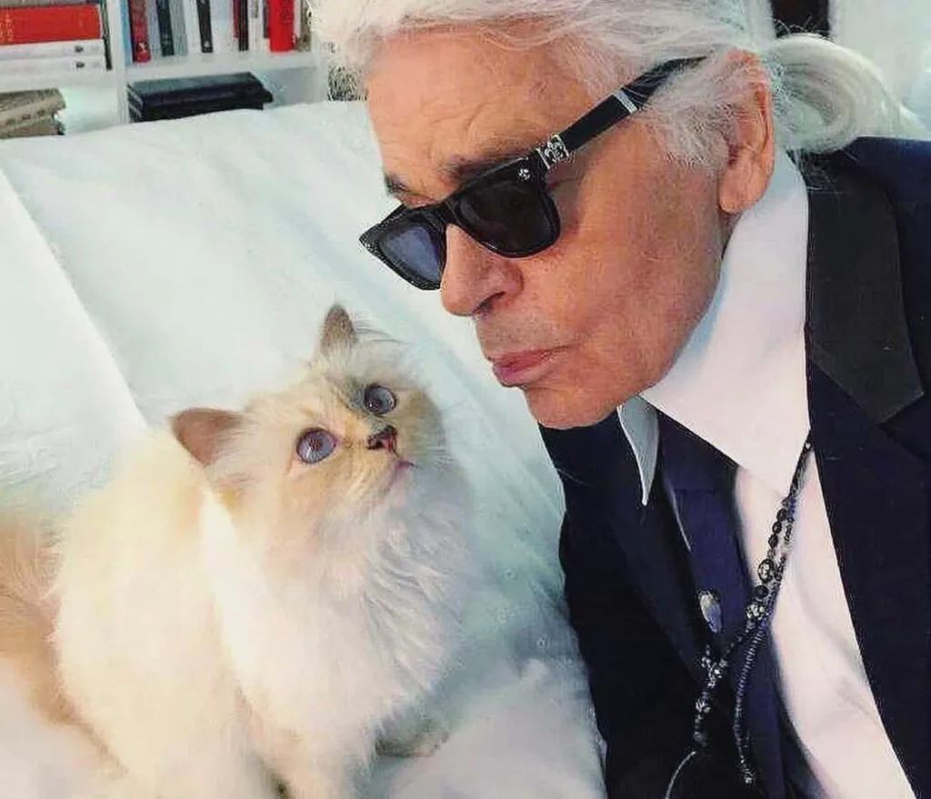 Cea mai bogată pisică din lume este falită. Choupette nu a primit niciun cent din averea lui Karl Lagerfeld
