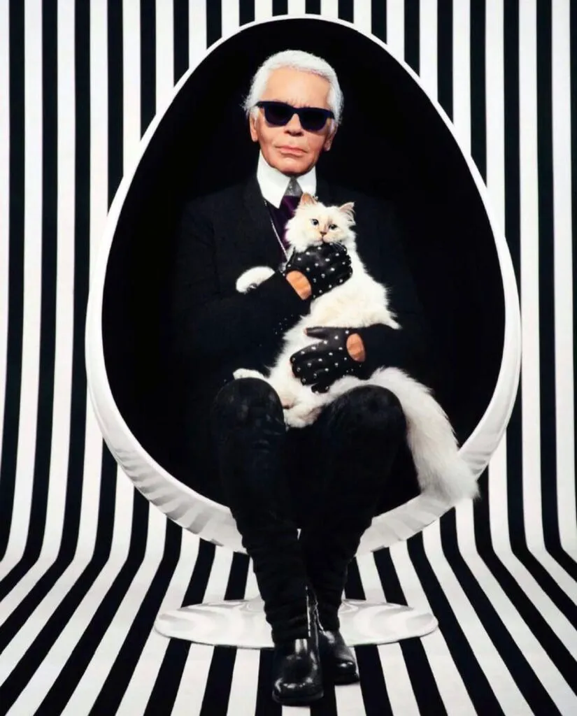 Cea mai bogată pisică din lume este falită. Choupette nu a primit niciun cent din averea lui Karl Lagerfeld