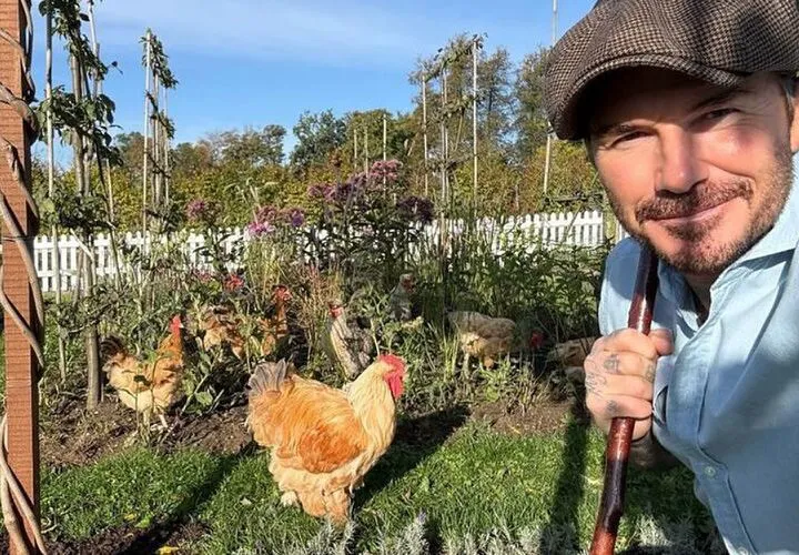 David Beckham face furori cu dovleceii lui ciudați, de diferite forme – Video