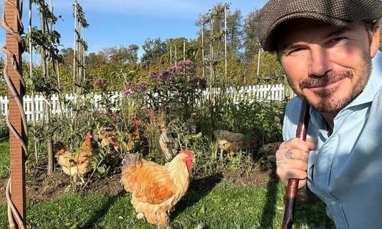 David Beckham face furori cu dovleceii lui ciudați, de diferite forme – Video