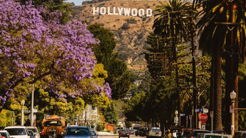 Actor de la Hollywood, decizie extremă pentru copilul său: post negru de 40 de zile. Ce s-a întâmplat apoi l-a surprins