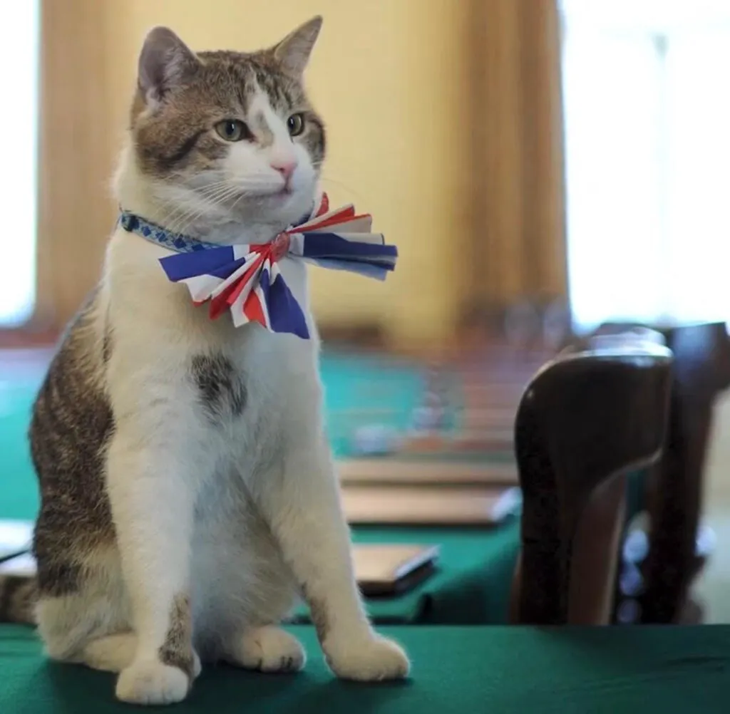 Simbolul stabilității politice din Marea Britanie are 4 picioare. Povestea lui Larry, motanul de la Downing Street