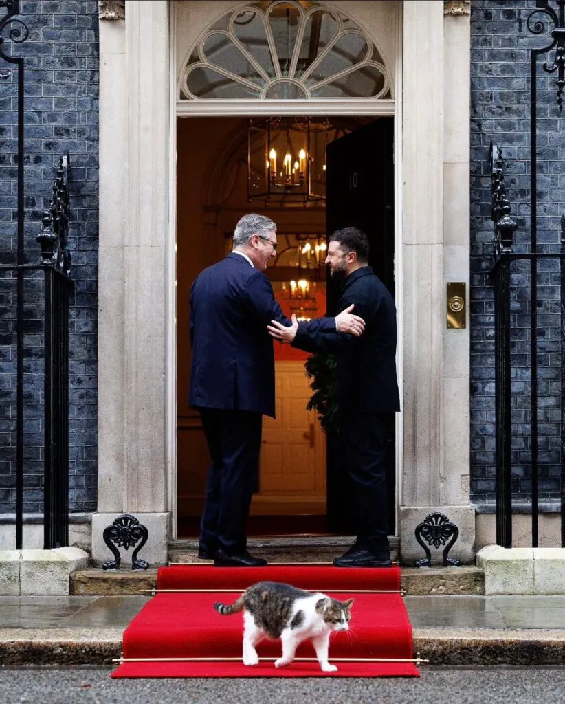 Simbolul stabilității politice din Marea Britanie are 4 picioare. Povestea lui Larry, motanul de la Downing Street