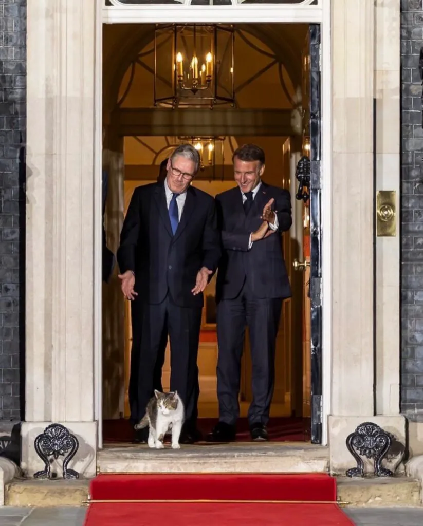 Simbolul stabilității politice din Marea Britanie are 4 picioare. Povestea lui Larry, motanul de la Downing Street