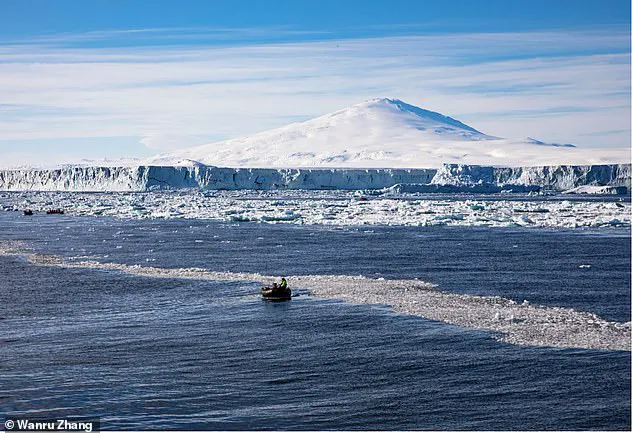 Otravă ascunsă de sute de ani în Antarctica, eliberată de topirea gheții. Cercetătorii sunt alarmați 2 Otravă ascunsă de sute de ani în Antarctica, eliberată de topirea gheții. Cercetătorii sunt alarmați