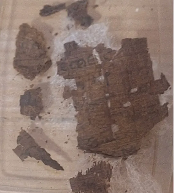 Mumia care avea în burtă un papirus din Iliada lui Homer. Ce spun cercetătorii spanioli 3 Papirusul cu text din Iliada lui Homer, descoperit în mumie