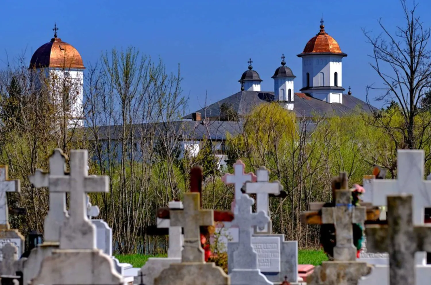 cimitir