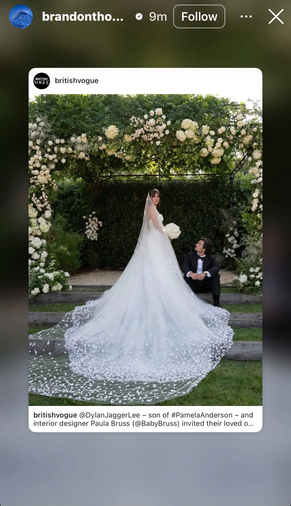 Fiul Pamelei Anderson nu mai este burlac! Nuntă de lux în Saint-Tropez și o mamă cu lacrimi în ochi - Foto 3 Fiul Pamelei Anderson nu mai este burlac! Nuntă de lux în Saint-Tropez și o mamă cu lacrimi în ochi - Foto