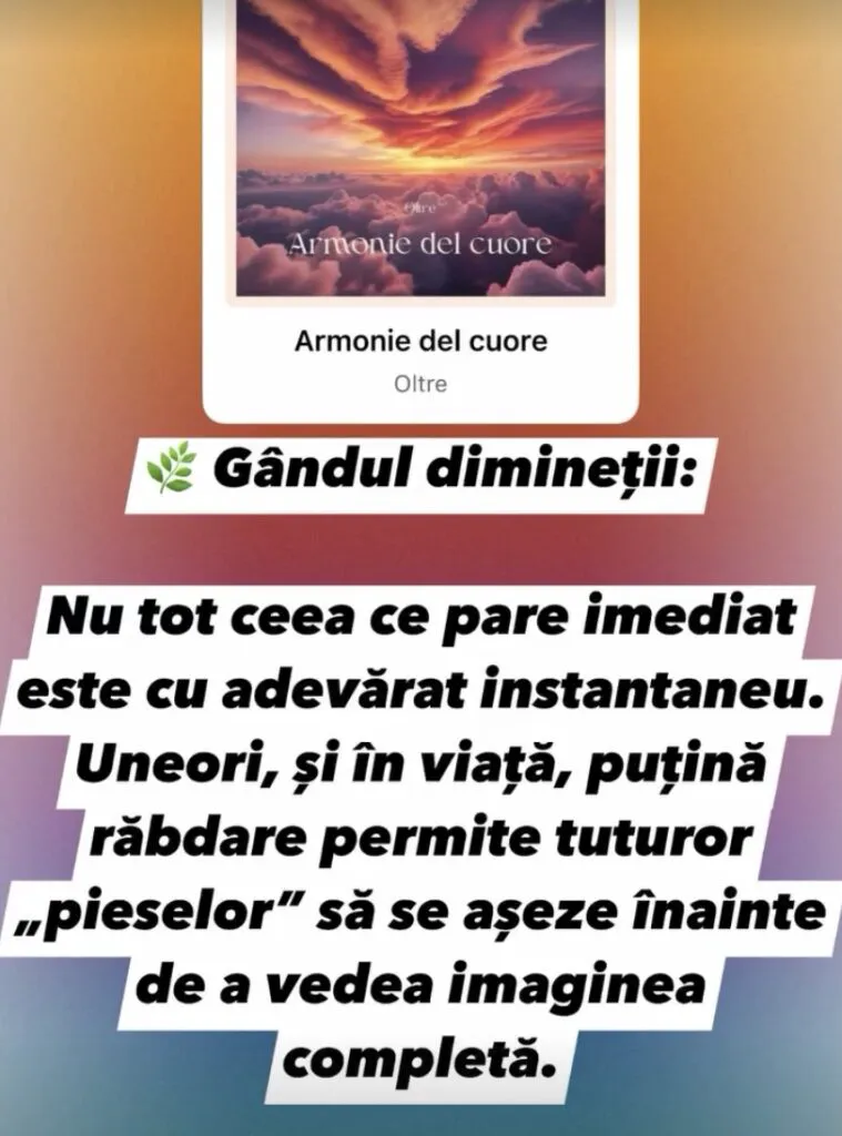 Oana Roman, replică dură pentru Marius Elisei: „Dacă e ceva ce mi-a ieșit bine…”