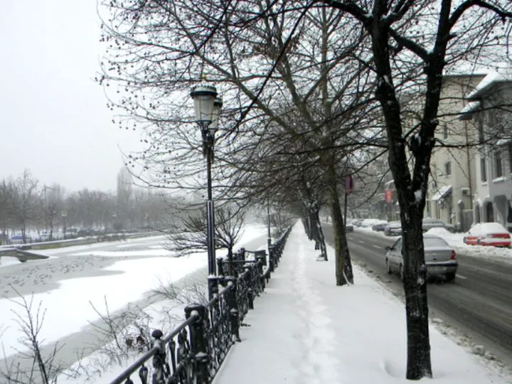 Bancuri. Într-o iarnă, în toiul nopţii, Ion este trezit din somn de bătăi puternice în geam. Ce urmează, e genial!