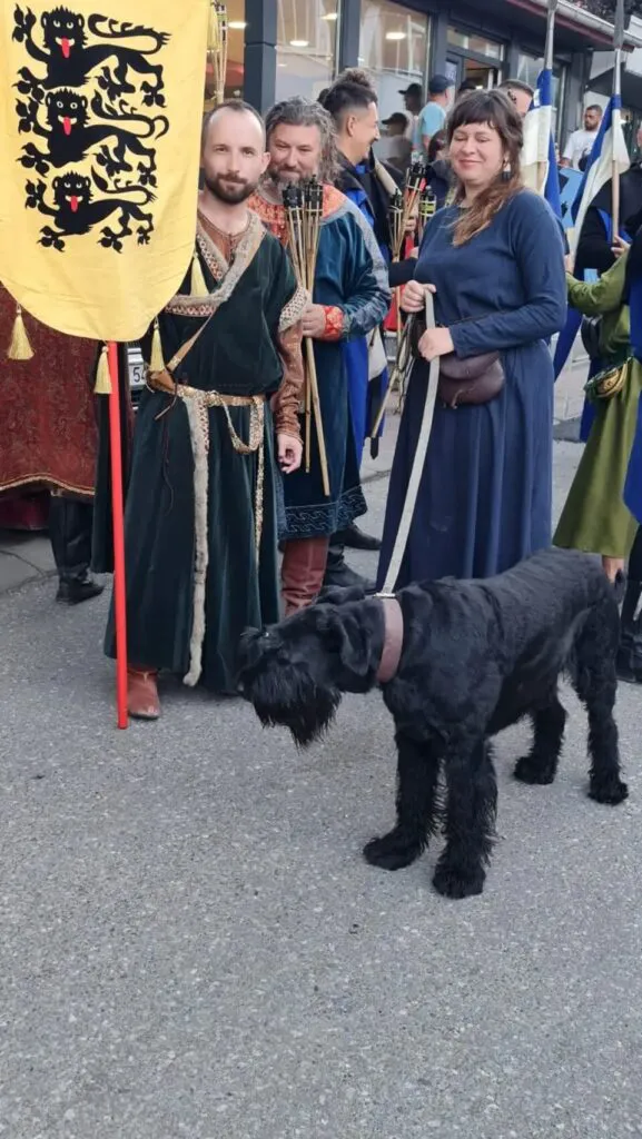 Câinii care miros cancerul au ajuns în România. Ce s-a întâmplat la Festivalul Medieval de la Suceava